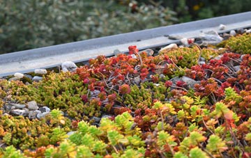 the cost of Llanfihangel Tal Y Llyn green roof installation
